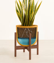 Load image into Gallery viewer, Sunset Orange stand:walnut