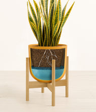 Load image into Gallery viewer, Sunset Orange stand:bamboo