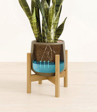 Load image into Gallery viewer, Olive stand:bamboo