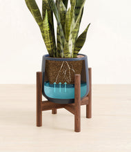 Load image into Gallery viewer, Deep Navy stand:walnut