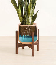 Load image into Gallery viewer, Gentle Pink stand:walnut