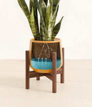 Load image into Gallery viewer, Mustard stand:walnut