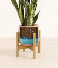 Load image into Gallery viewer, Calm Rose stand:bamboo