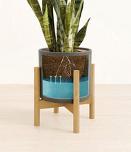 Load image into Gallery viewer, Dark Olive stand:bamboo