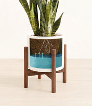 Load image into Gallery viewer, White stand:walnut