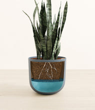 Load image into Gallery viewer, Iron Gray