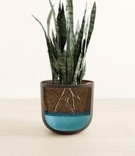 Load image into Gallery viewer, Stone Black