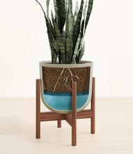 Load image into Gallery viewer, Sage Green stand:walnut