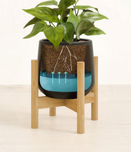 Load image into Gallery viewer, -