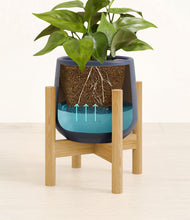 Load image into Gallery viewer, -