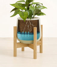 Load image into Gallery viewer, -