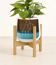 Load image into Gallery viewer, -