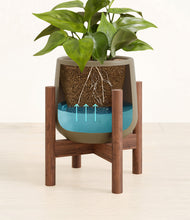 Load image into Gallery viewer, -