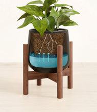 Load image into Gallery viewer, -