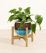 Load image into Gallery viewer, Shiny EggWhite stand:bamboo