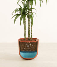 Load image into Gallery viewer, Earth Red