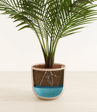 Load image into Gallery viewer, Sandy Pink