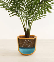 Load image into Gallery viewer, Sunset Orange