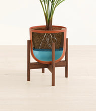 Load image into Gallery viewer, Earth Red stand:walnut