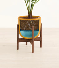 Load image into Gallery viewer, Sunset Orange stand:walnut