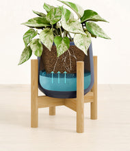 Load image into Gallery viewer, -