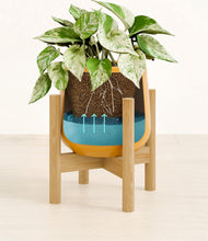 Load image into Gallery viewer, -