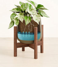 Load image into Gallery viewer, -