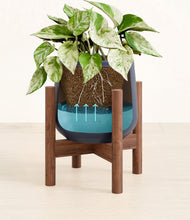 Load image into Gallery viewer, -