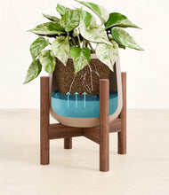 Load image into Gallery viewer, -