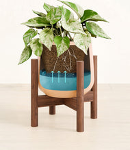 Load image into Gallery viewer, -