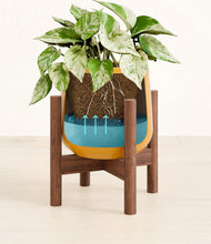 Load image into Gallery viewer, -