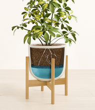 Charger l'image dans la galerie, Natural Bamboo stand:light