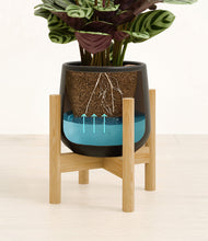 Load image into Gallery viewer, -