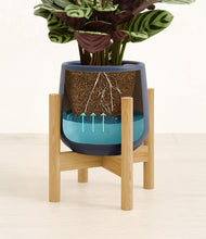 Load image into Gallery viewer, -