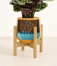 Load image into Gallery viewer, -