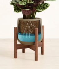 Load image into Gallery viewer, -