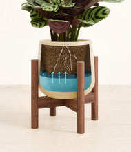 Load image into Gallery viewer, -