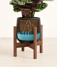 Load image into Gallery viewer, -