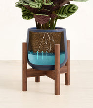 Load image into Gallery viewer, -