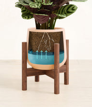 Load image into Gallery viewer, -