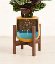 Load image into Gallery viewer, -