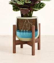 Load image into Gallery viewer, -