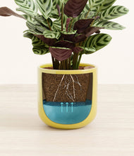 Load image into Gallery viewer, -