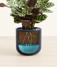 Load image into Gallery viewer, -