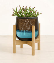 Load image into Gallery viewer, -