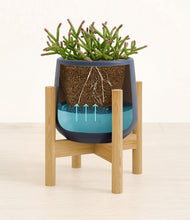 Load image into Gallery viewer, -