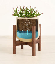 Load image into Gallery viewer, -