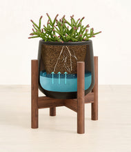 Load image into Gallery viewer, -