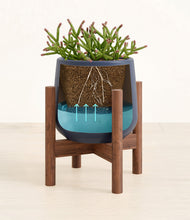 Load image into Gallery viewer, -