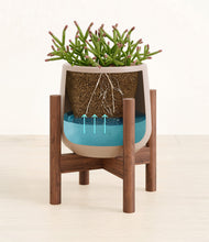 Load image into Gallery viewer, -